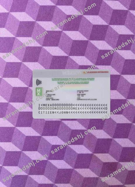 Mexico Consular ID card photolook BACK
